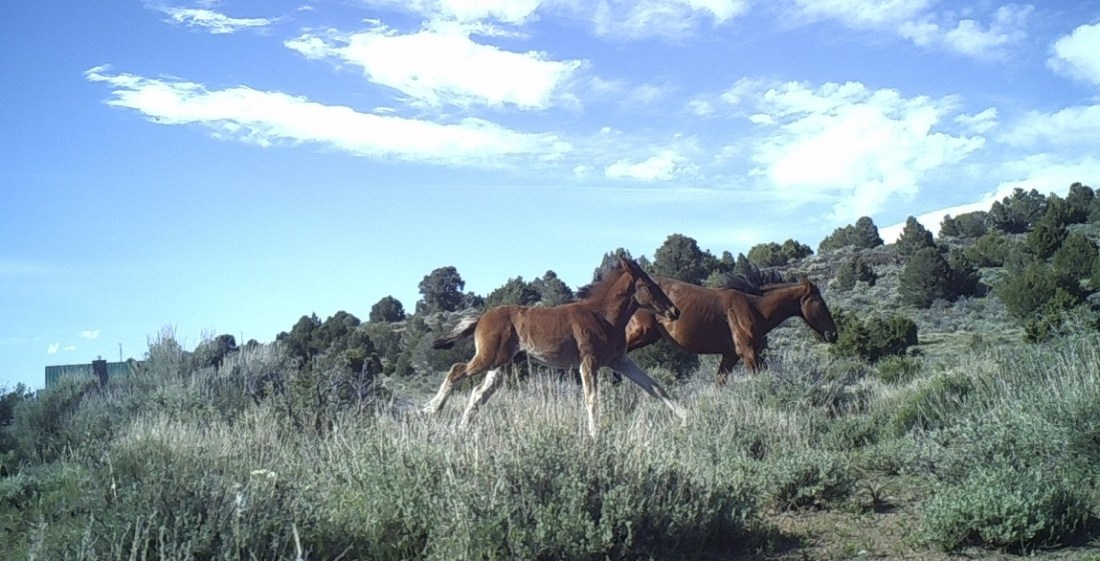 1658:051117:75F:2387:CAMERA7   :4