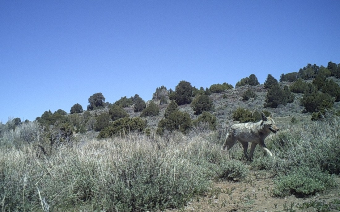 1227:050117:77F:2403:CAMERA7   :2