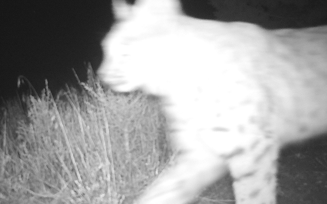 0310:121917:24F:2398:CAMERA7   :1