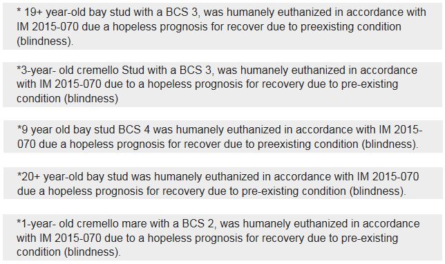 Triple_B_Blindness-1