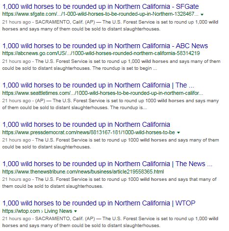 Devils_Garden_News-1