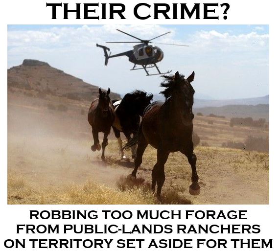 Robbing_Too_Much_Forage-1