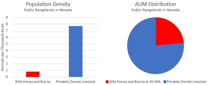 Nevada_Livestock_Grazing-1