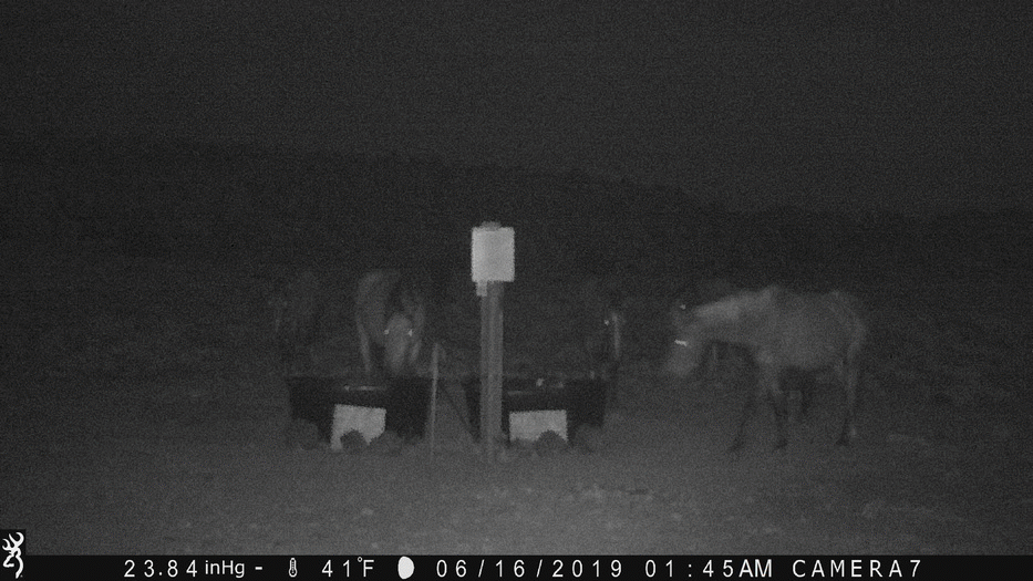 Night Shift 06-16-19