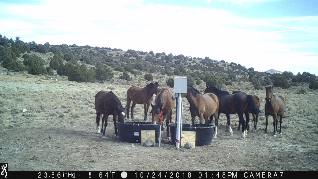 Fight or Flight 10-24-18