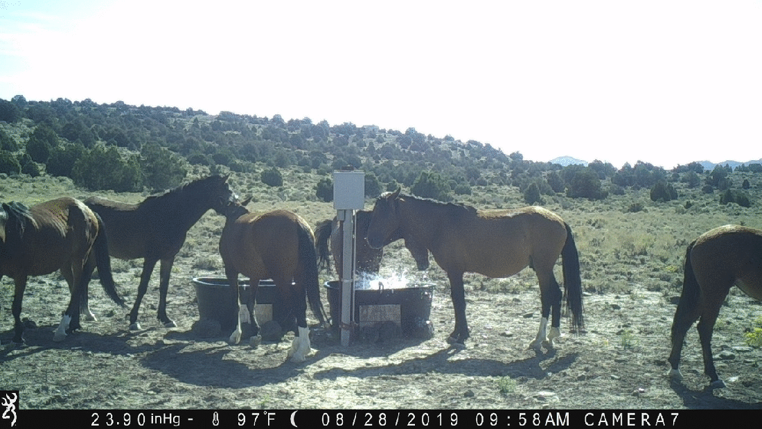 How Jacuzzis Worked in the Old Days