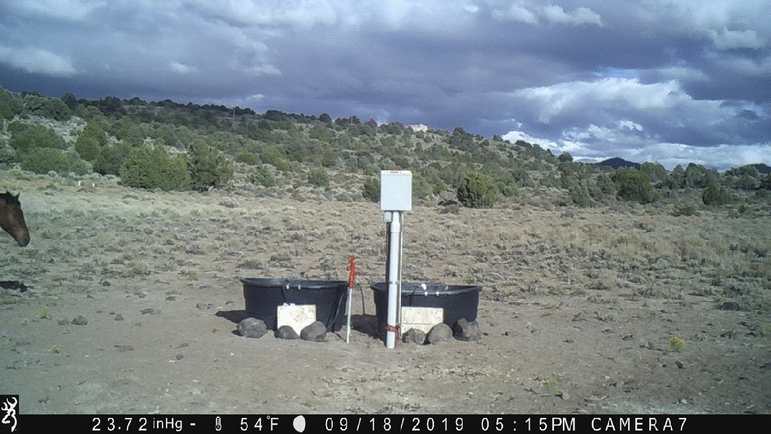 Mustangs at Water Tanks 09-18-19