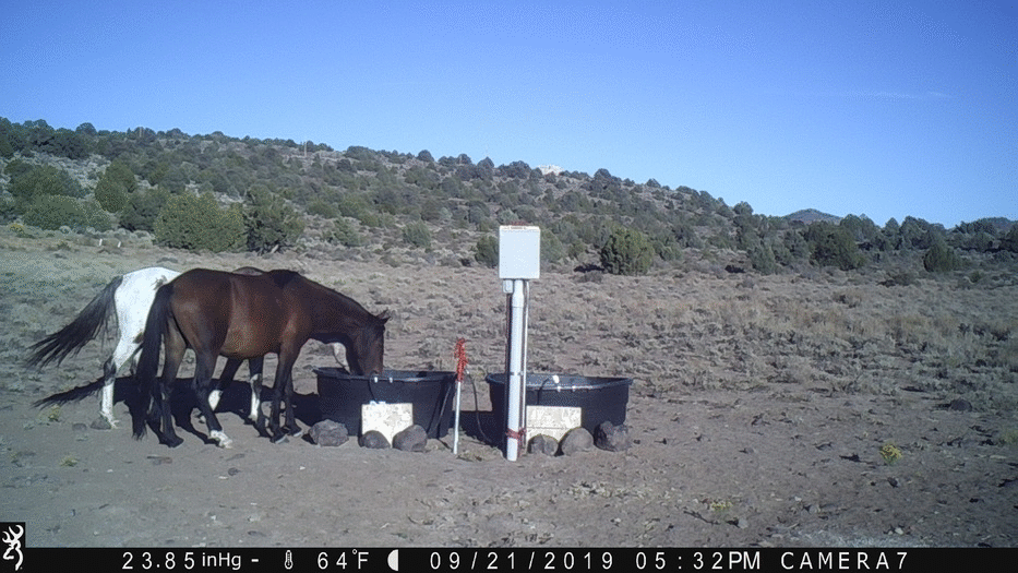 Water Tanks 09-21-19