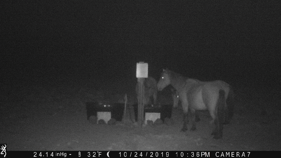 Multiple Use WHB Act