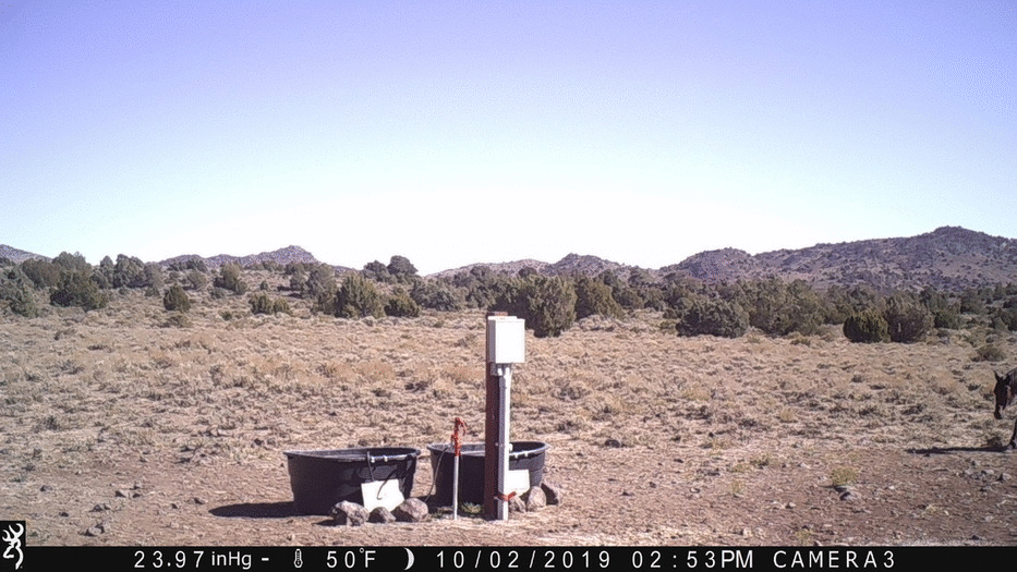 Water Tanks 10-02-19 PM Cam3