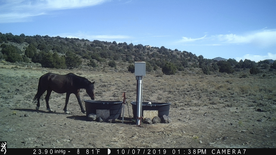 Water Tanks 11-07-19