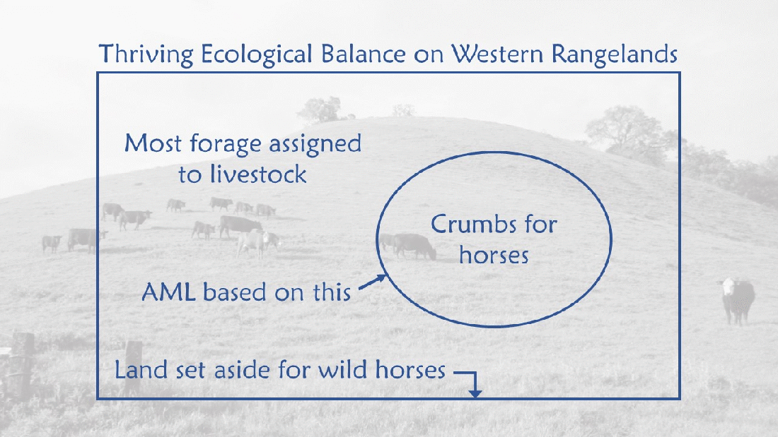 Thriving Ecological Balance on Western Rangelands