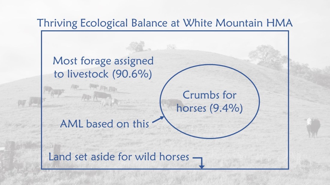 White Mountain Thriving Ecological Balance