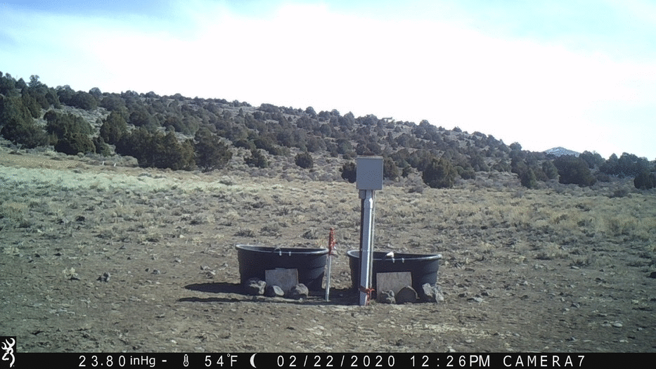 Water Tanks 02-22-20