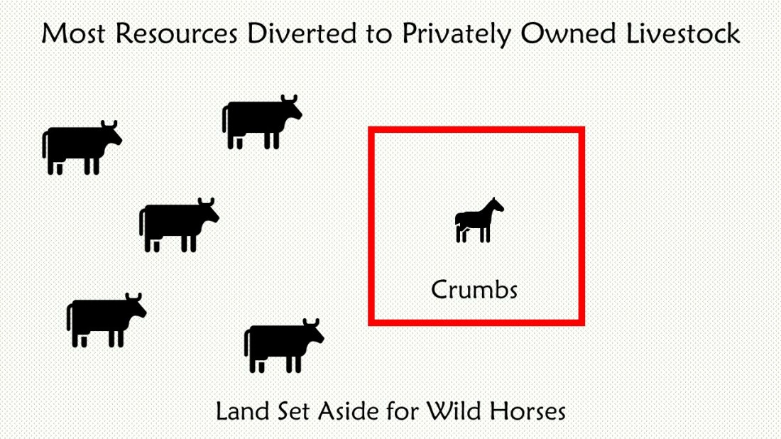 Land Can Only Support 27000-1