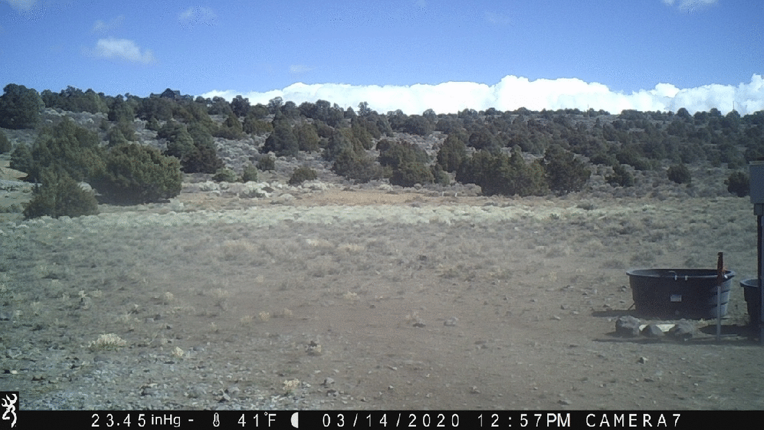 Water Tanks 03-14-20 7