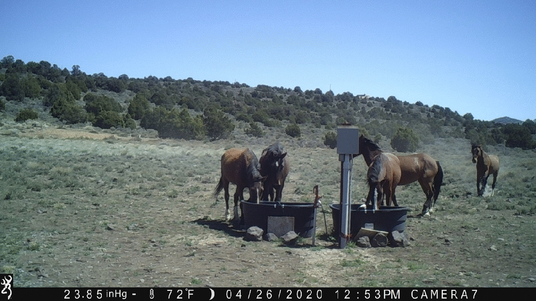 Water Tanks 04-26-20