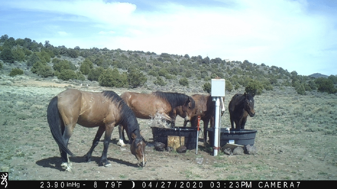 Water Tanks 04-27-20