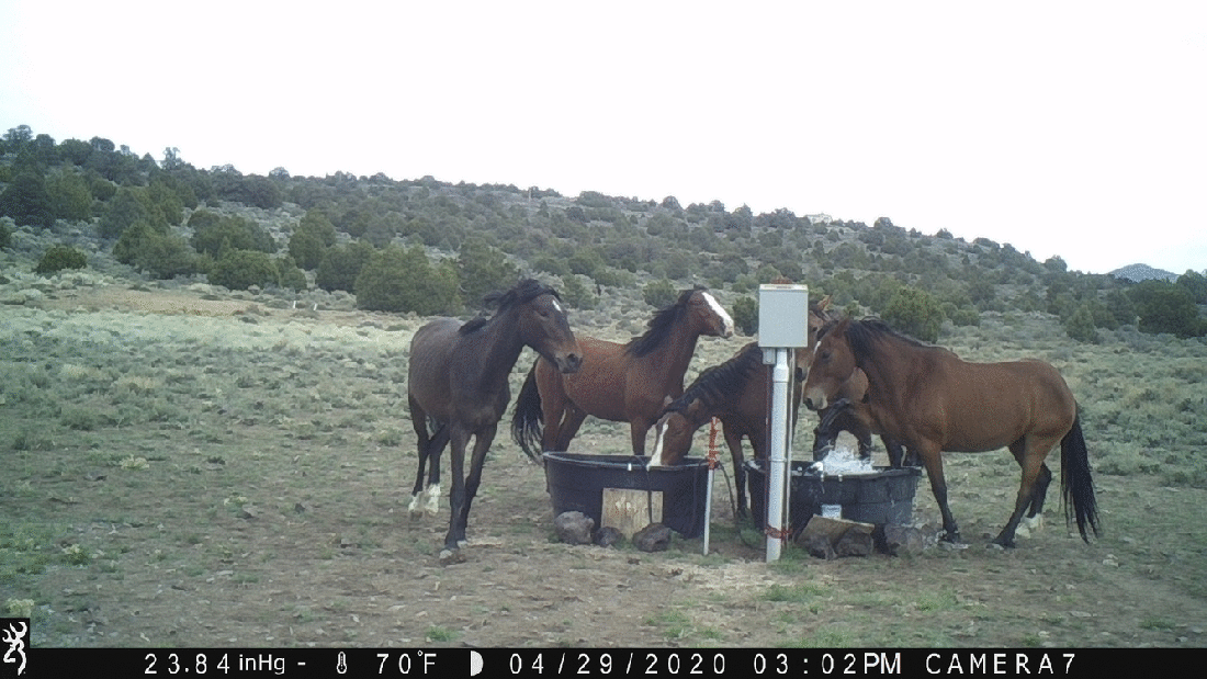 Water Tanks 04-29-20