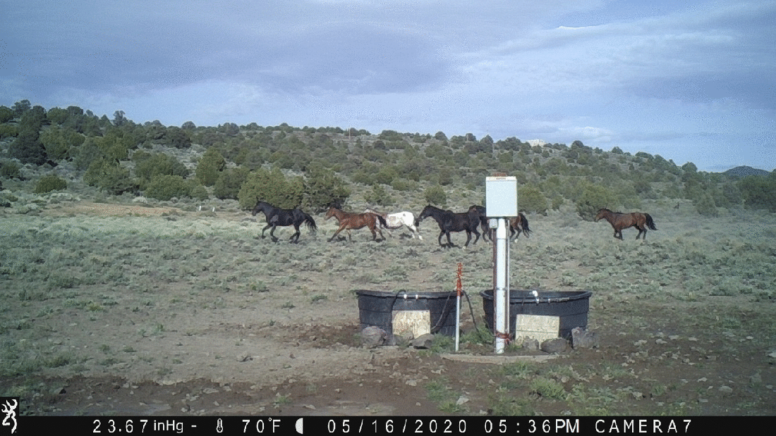 Rush Hour 05-16&amp;17-20