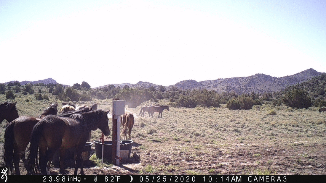 Water Tanks 05-25-20