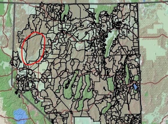 Blue Wing Allotment Map-1