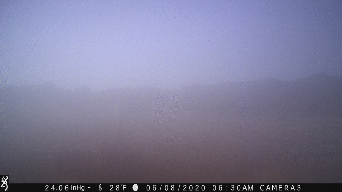 Frost at Water Tanks 06-08-20