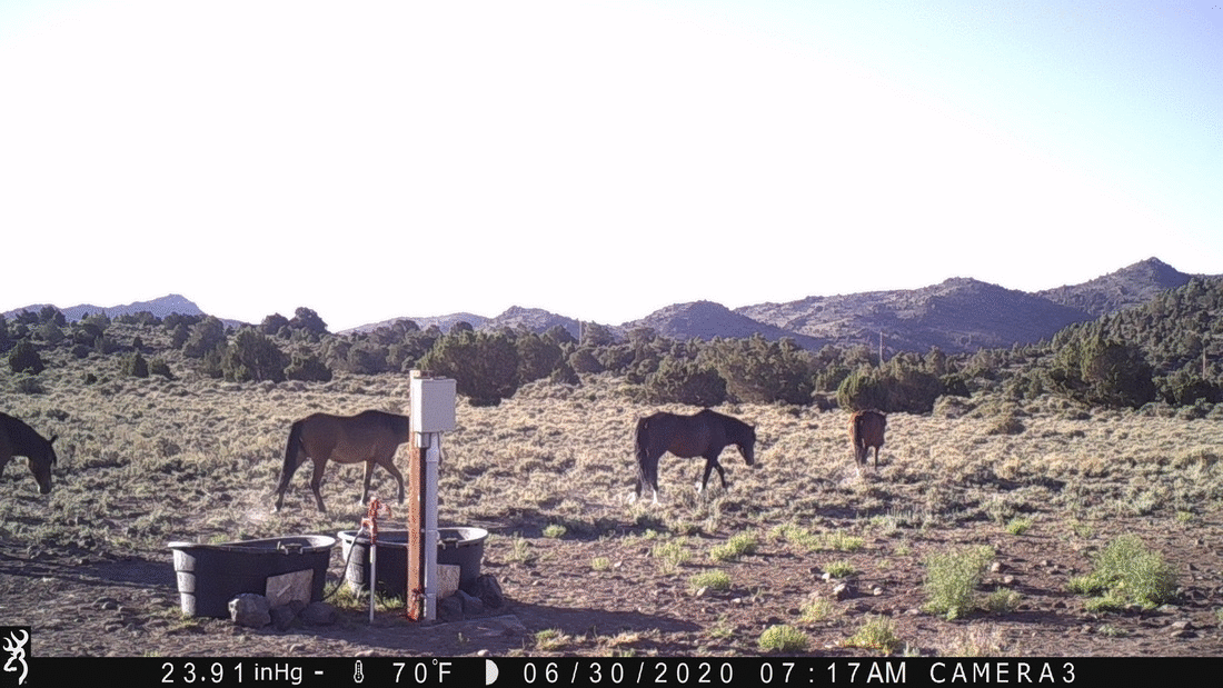 Water Tanks 06-30-20