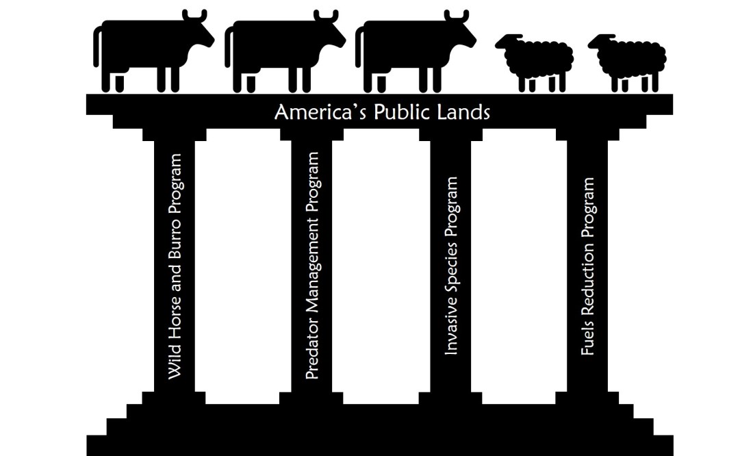 Grazing Program Ancillaries B-1