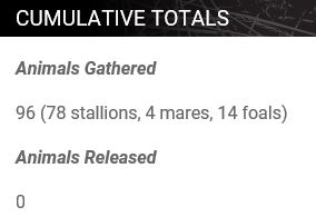 Saylor Creek Stats 08-20-20-1