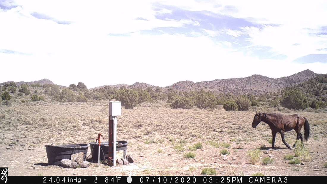 Water Tanks 07-10-20