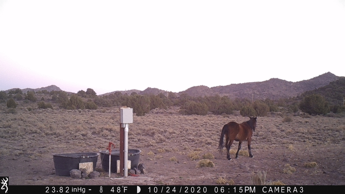 Off for the Season 10-24-20