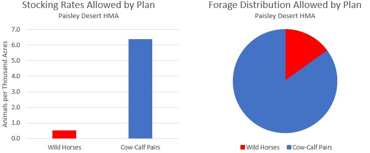 Paisley Desert Charts-1