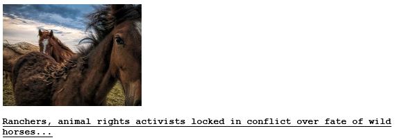 Wild Horse Wars on Drudge-1