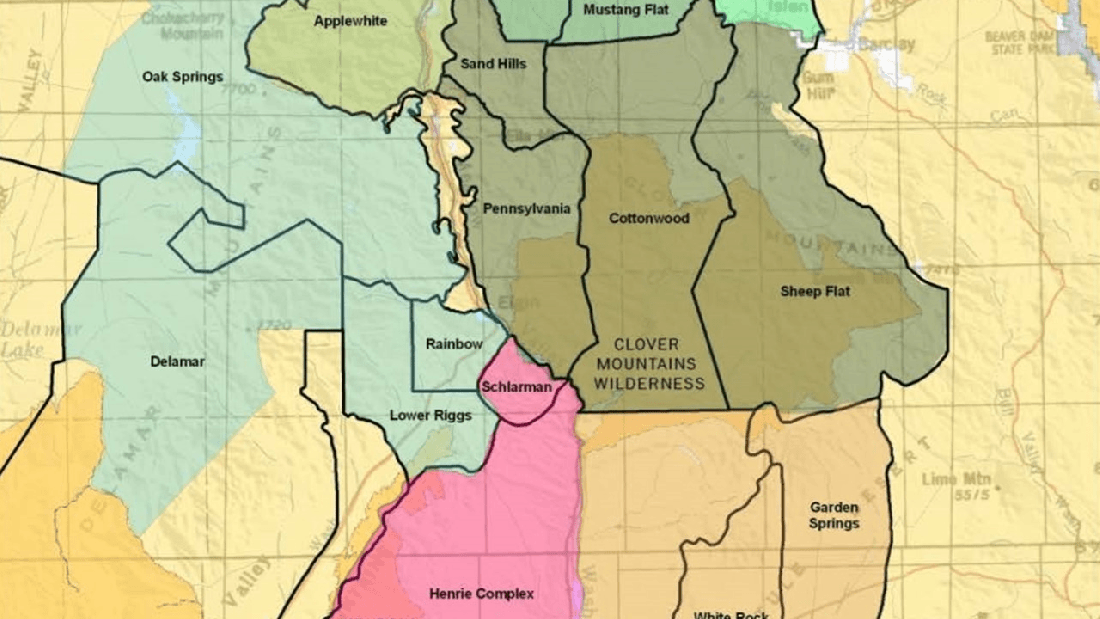 Delamar and Meadow Valley Allotments