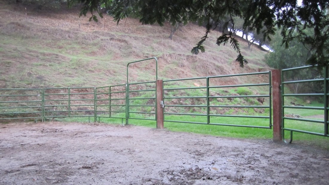 Assessing Stocking Rates 01-24-21