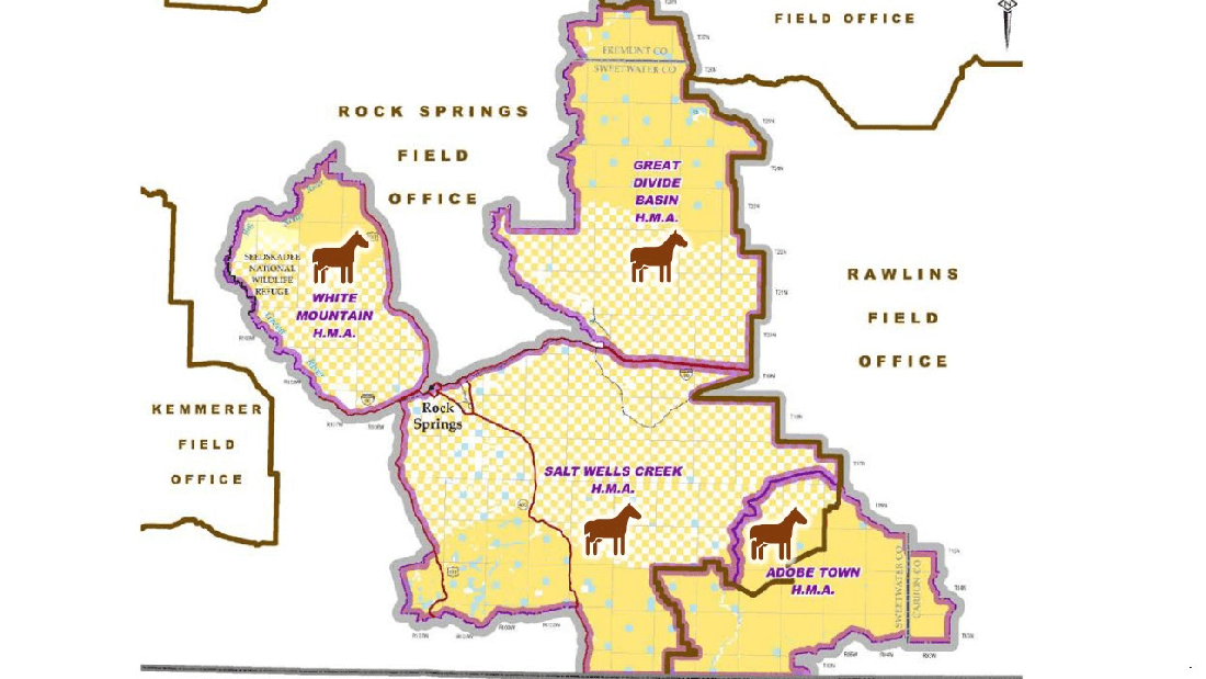 Rock Springs RMP Amendment Map 01-31-21