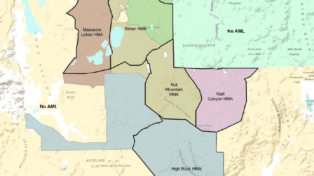 Surprise Complex Allotment Map