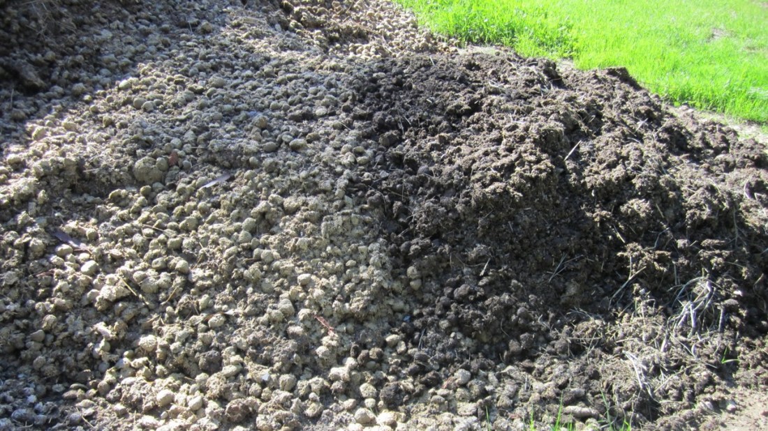 Change in Feed 02-01-21