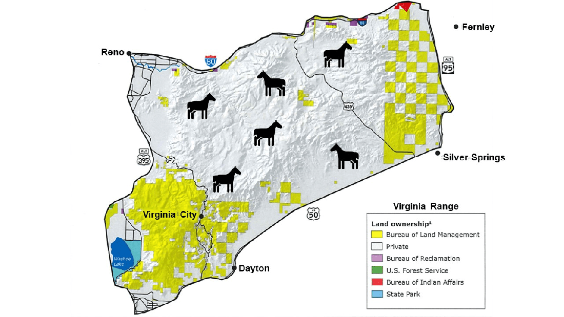 Location of Blockchains