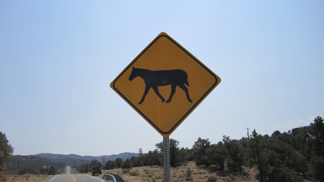 Motorists Can't Match Impact