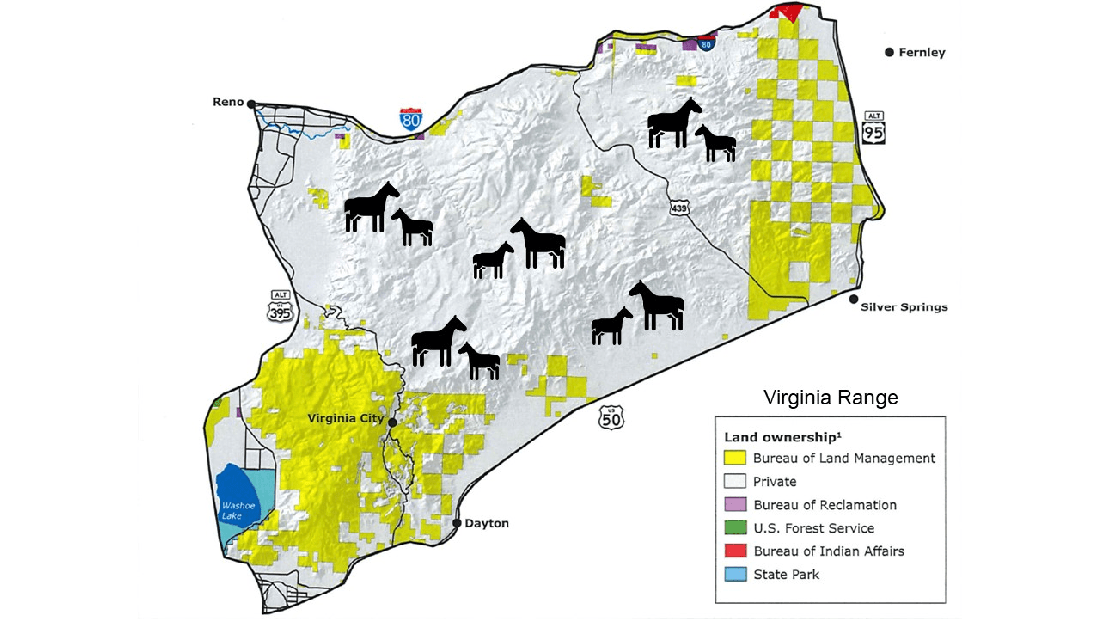 Virginia Range Darting Program
