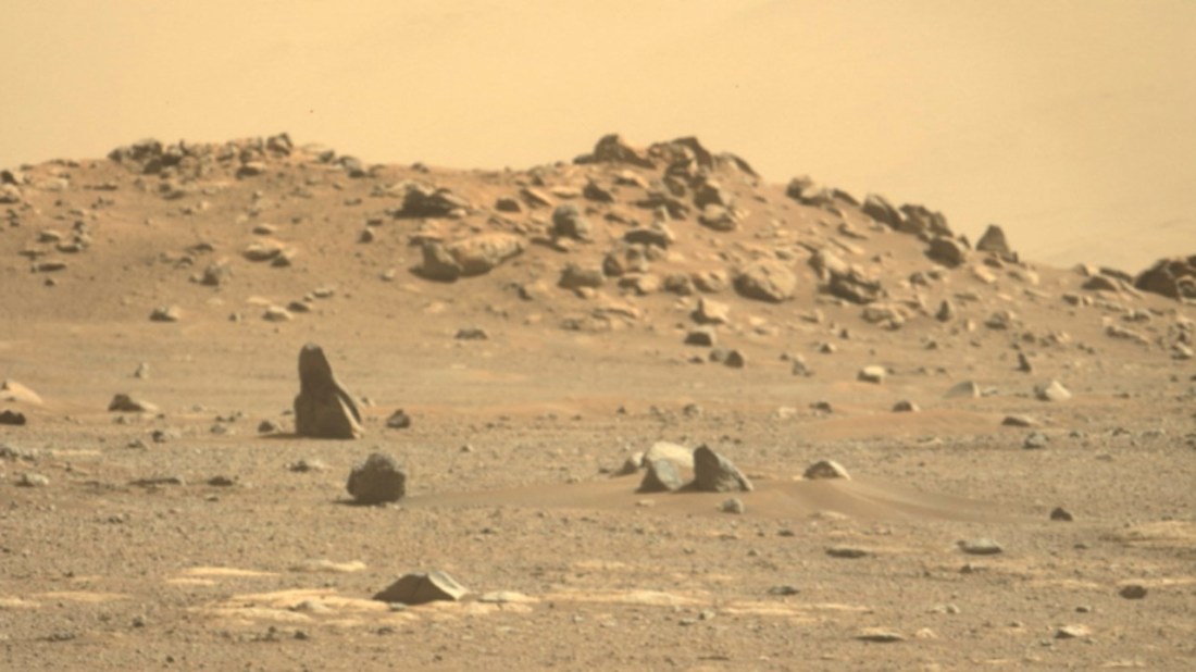 Perseverance Finds No Trees 03-03-21