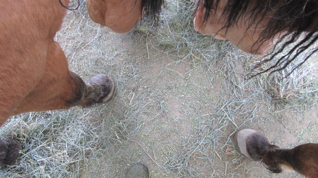 You Are Responsible for Your Own Feet 03-11-21