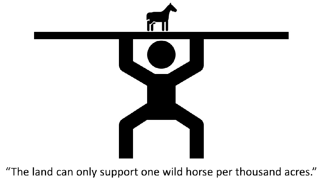 Land Can Only Support 04-21-21