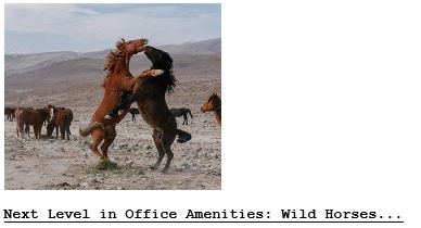 NYT Article About VR Mustangs on Drudge 04-13-21