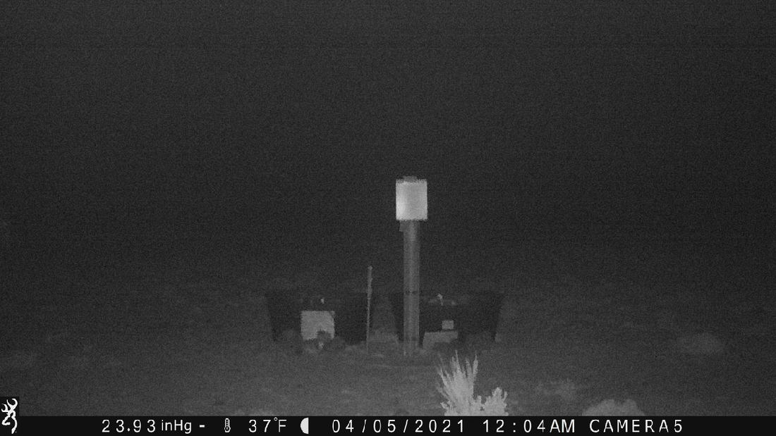 PZP Zealots Missed One 04-05-21