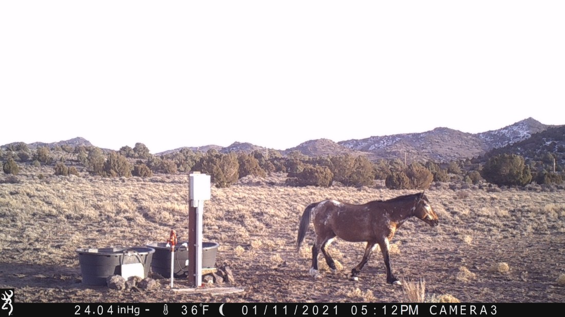 Virginia Range 01-11-21