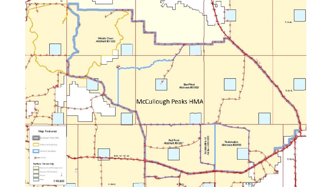 McCullough Peaks Allotment Map 06-18-21