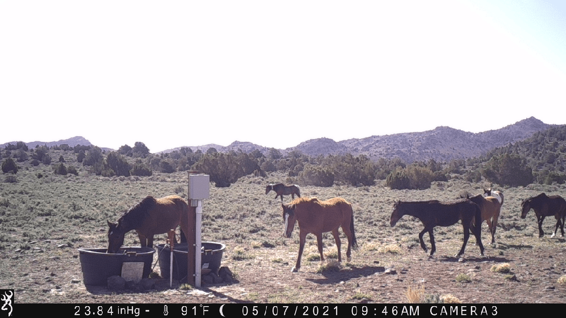 No Loitering at Water Tanks 05-07-21